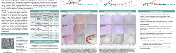 ASCO-GU19 Poster: Evaluation of Submicron Particle Docetaxel Directly Injected into Uro-Oncologic Xenografts